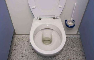 公共馬桶怎樣注意事項