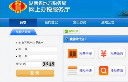 報(bào)稅,注意事項(xiàng),網(wǎng)上