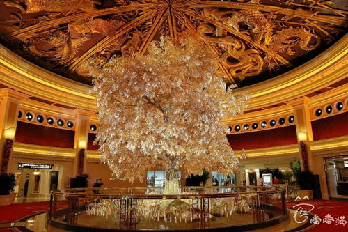 泰國(guó),出關(guān),注意事項(xiàng)