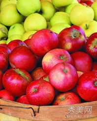 三天蘋果減肥法的注意事項