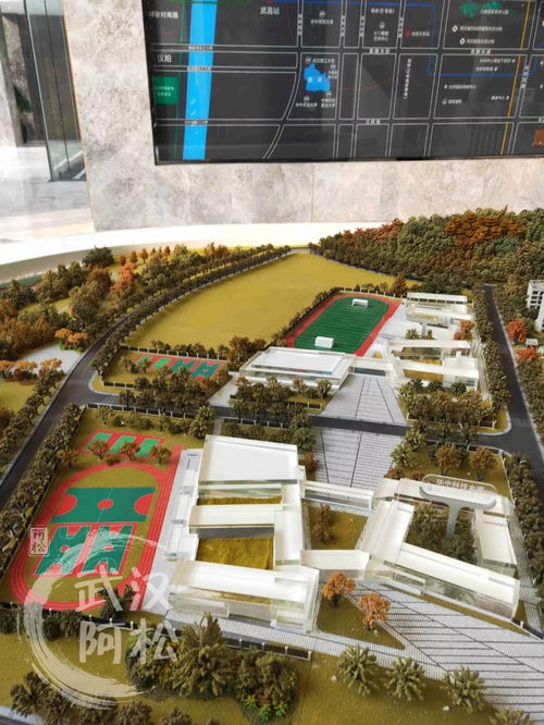 規(guī)劃設計,注意事項,中學