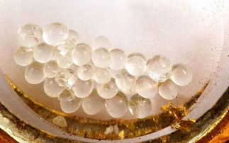 供養(yǎng),注意事項,舍利子