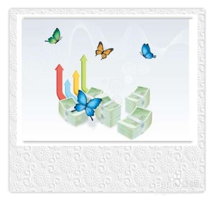 出游,注意事項,單位,組織