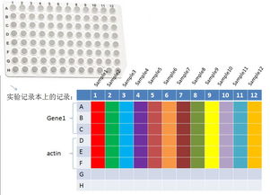 pcr加樣注意事項(xiàng)