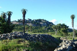 津巴布韋旅游注意事項(xiàng)