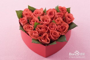 注意事項(xiàng),禮品