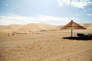 到敦煌旅游要注意事項