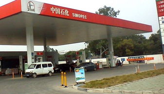 過開車回家1000公里注意事項(xiàng)