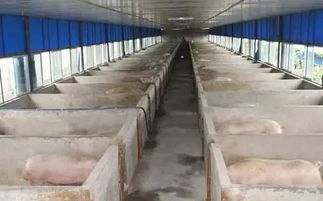 冷庫(kù)建設(shè)注意事項(xiàng),機(jī)房建設(shè)注意事項(xiàng),廠房建設(shè)注意事項(xiàng)