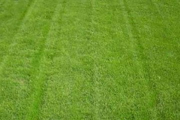 注意事項(xiàng),種草