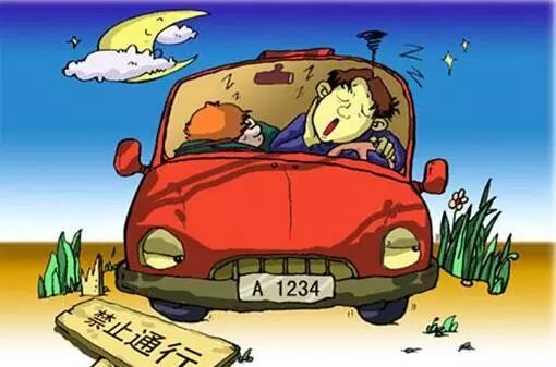 春節(jié)坐車回家注意事項(xiàng),貓咪坐車注意事項(xiàng),狗狗坐車注意事項(xiàng)