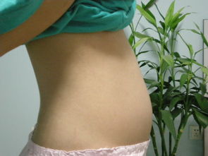 注意事項(xiàng),懷孕