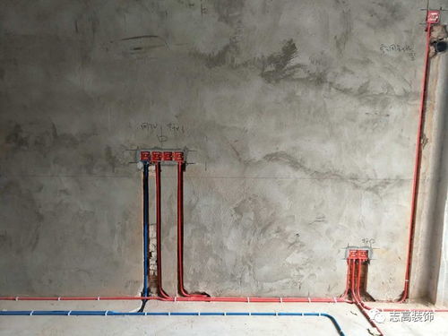 骨折拆夾板后注意事項,小夾板固定后的注意事項有哪些,夾板固定的步驟及注意事項