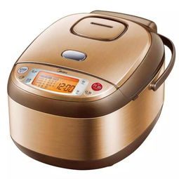 電飯煲,注意事項(xiàng)