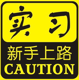 新手上路注意事項及駕車技巧,新手上路的注意事項,機動車新手上路注意事項