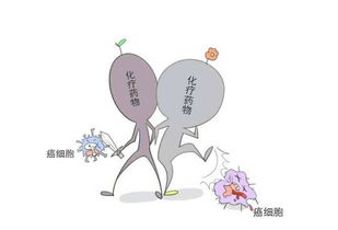 第二次化療后注意事項(xiàng)