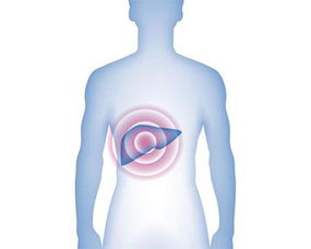 丙肝的各個(gè)注意事項(xiàng)