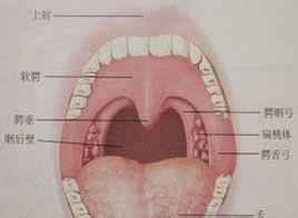 患會厭囊腫的注意事項(xiàng)