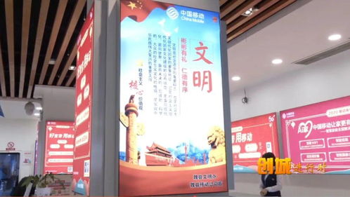 注意事項(xiàng),公司