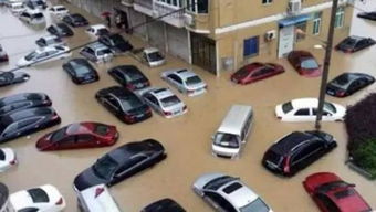 泡水車維修注意事項