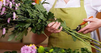 保鮮,注意事項(xiàng),鮮切花