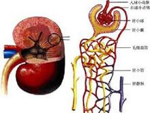 靜脈,簡述,血癥,注意事項