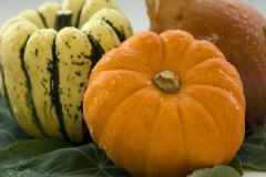 南瓜,注意事項(xiàng)