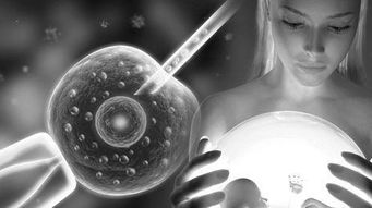 解凍移植后注意事項(xiàng),吃點(diǎn)什么,解凍囊胚移植后著床注意事項(xiàng),冷凍胚胎移植前注意事項(xiàng)