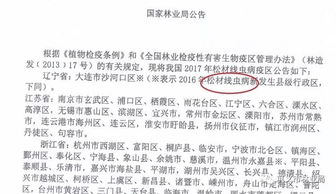 青山,工程施工,注意事項