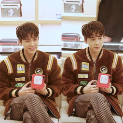 后援會(huì),注意事項(xiàng),活動(dòng),易峰