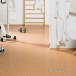 居家,注意事項(xiàng),老人