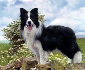 哺乳,注意事項(xiàng)