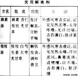 解表劑的使用注意事項(xiàng)