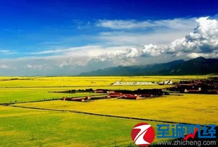 7月去青海湖注意事項(xiàng)