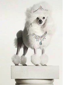 坐月子注意事項,坐月子期間注意事項,月子注意事項和護(hù)理