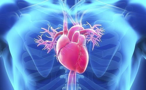 做了搭橋手術(shù)注意事項(xiàng)