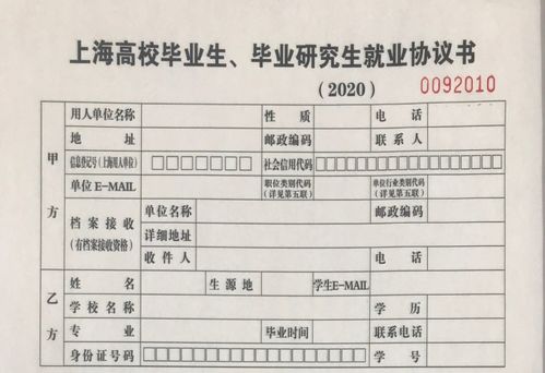 就業(yè)系統(tǒng)填寫注意事項(xiàng)