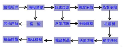發(fā)明葛根素分離提取技術(shù)的科學(xué)家,葛根素的分離提取用到了那些技術(shù)?,葉綠素的提取和分離實(shí)驗(yàn)注意事項(xiàng)