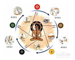 情報,編寫,注意事項