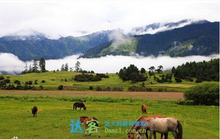 拉薩,注意事項(xiàng),旅游