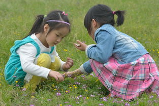 游園,幼兒園,注意事項(xiàng)