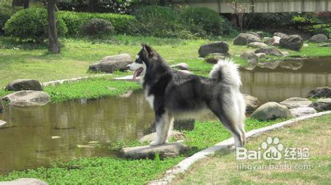 阿拉斯加,美國(guó),注意事項(xiàng)