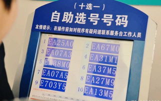 車牌照選號注意事項