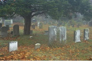 購(gòu)買(mǎi)墓地注意事項(xiàng),怎樣選墓地及注意事項(xiàng),購(gòu)買(mǎi)墓地合同注意事項(xiàng)