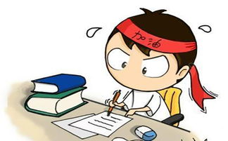 體育考試注意事項,數(shù)學(xué)考試注意事項,語文考試注意事項