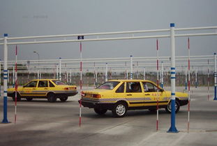 駕校,注意事項,理論,培訓