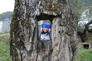 神農(nóng)架,徒步,注意事項(xiàng)