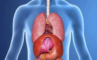 氣胸負壓吸引禁忌,氣胸負壓吸引原理,氣胸負壓吸引一般多長時間