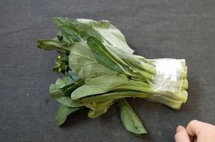 種青菜注意事項.