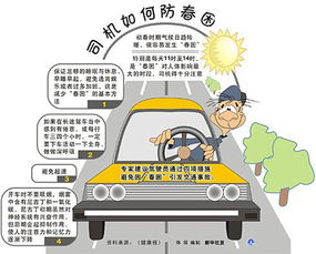 交通安全的注意事項(xiàng),冬季交通安全注意事項(xiàng),交通安全注意事項(xiàng)6條